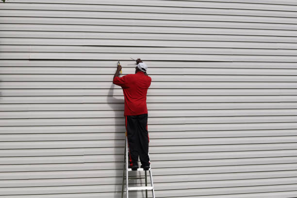 Best Custom Siding Design  in Troy, TN